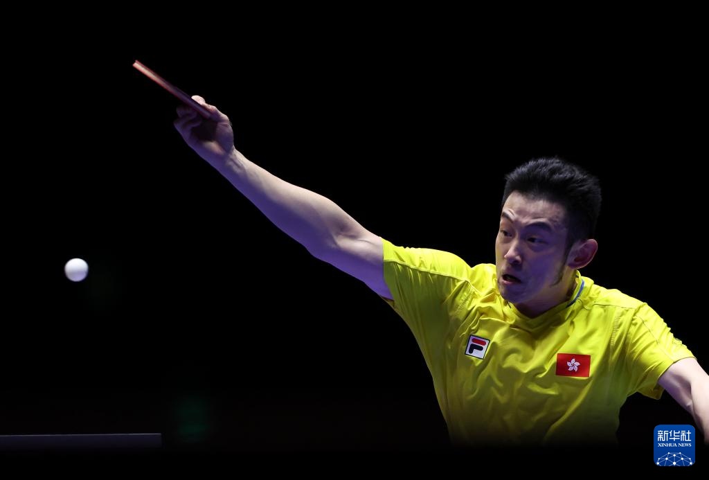 渐恢复往日 渐恢复往日