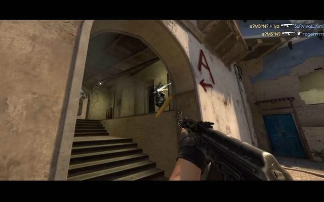 乐性与观赏 乐性与观赏